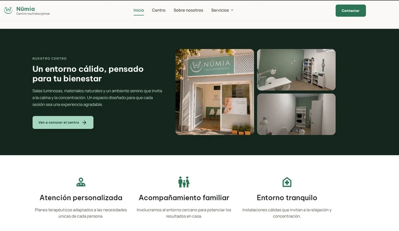 La web de Centro Multidisciplinar Nümia